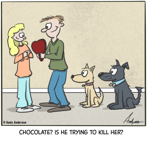 Cartoon about dogs watching owner give chocolate and wondering is he trying to kill her