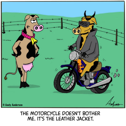 Cow with leather jacket cartoon by Andy Anderson