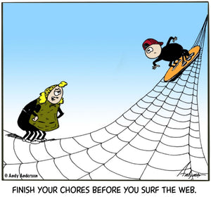Cartoon about a spider surfing the web by Andy Anderson
