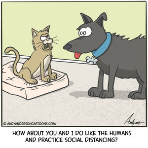 Cartoon about a cat encouraging social distancing with the family dog by Andy Anderson